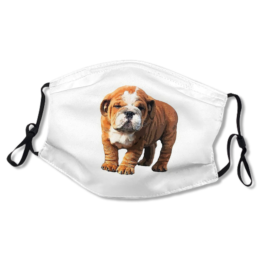 Bulldog Super Cute Puppy Dog No.2JPO92