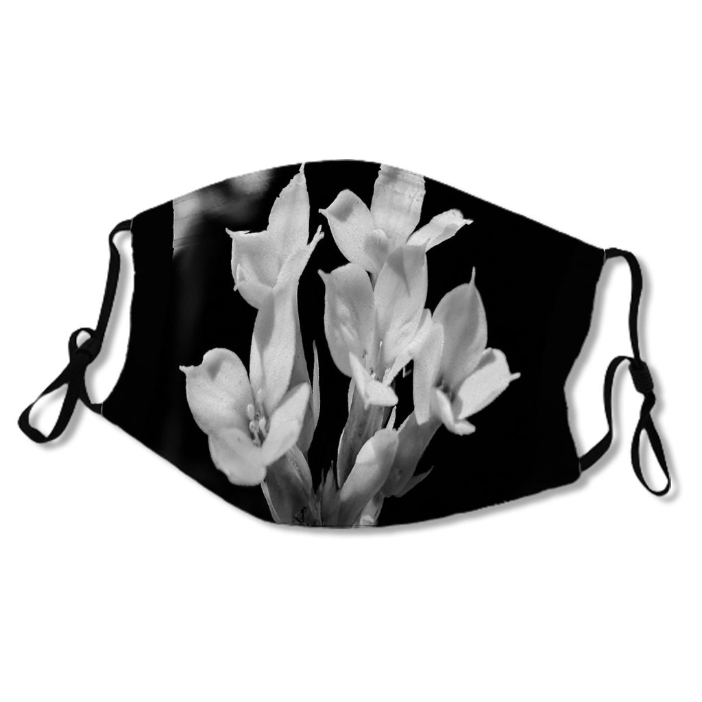 black and white plant No.2N94TS