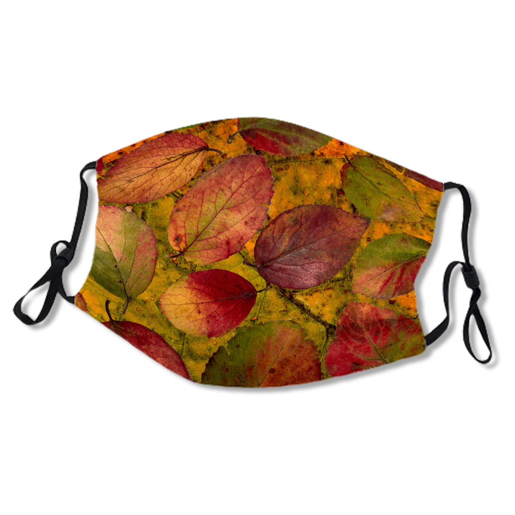 Autumn Leaves Orange Pattern No. 3Y8UUN