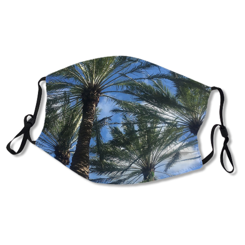 palm trees in the bahamas No.4R6CM4