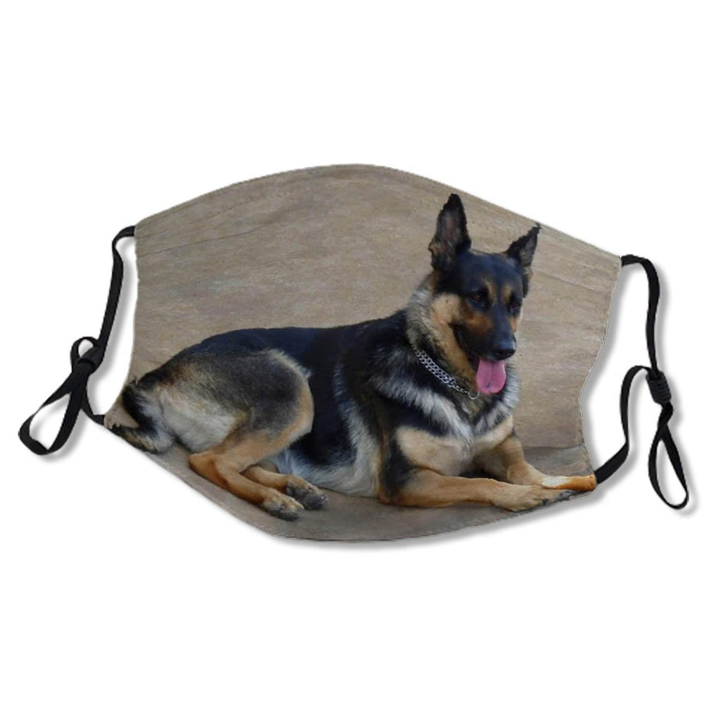 German Shepherd Dog No. 8VL7M8