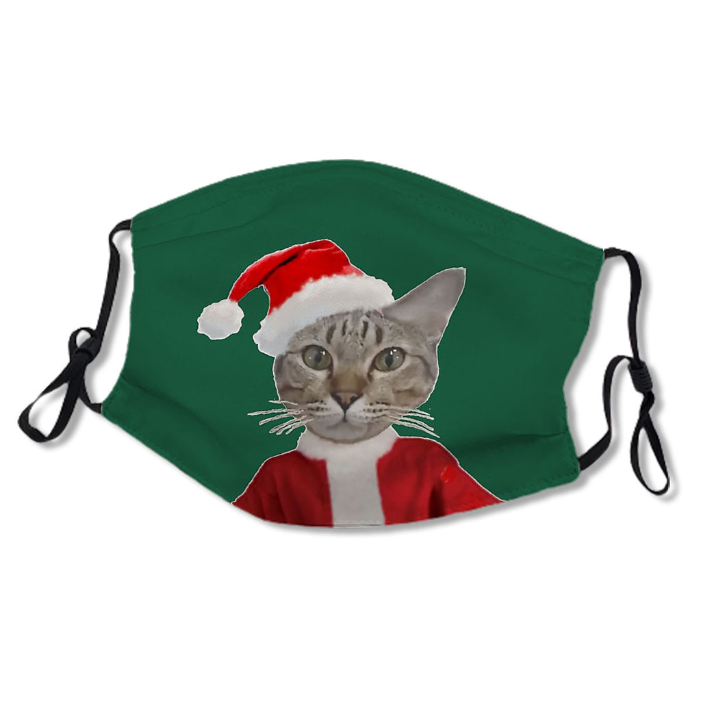 Santa cat No.AE5RTT