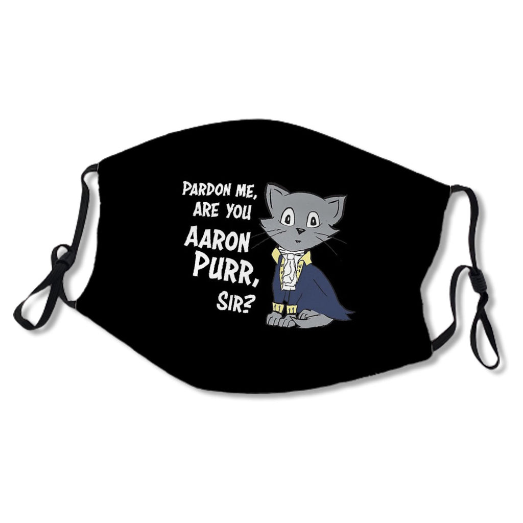 Pardon Me, Are You Aaron Purr, Sir? No.C2YANU