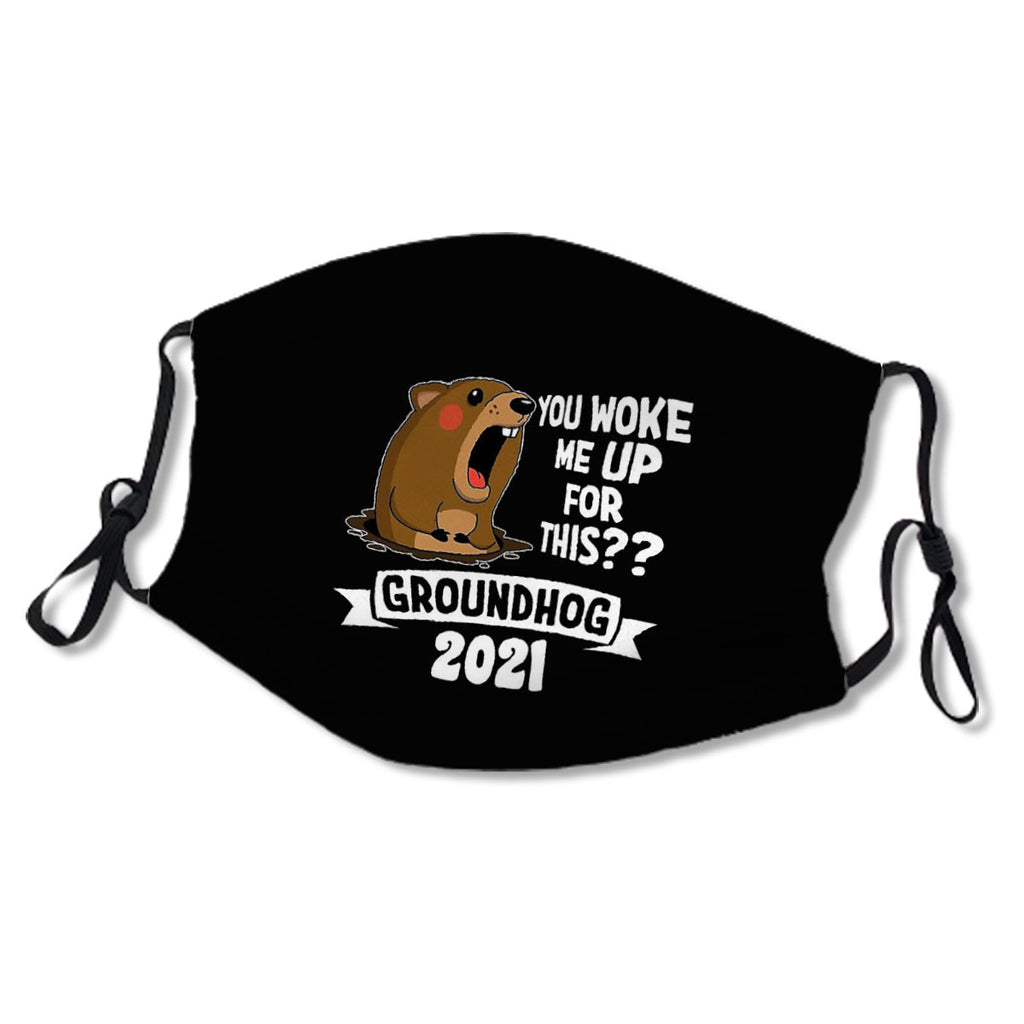 groundhog funny - you woke me up for this groundhog 2021 gift groundhog lover No.CZ2JYL