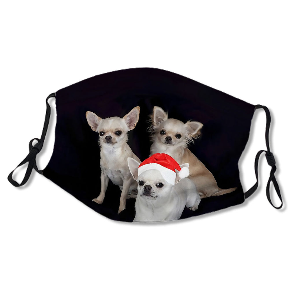 Cute Chihuahua Puppies with Santa Hat Christmas No.DYLIBW