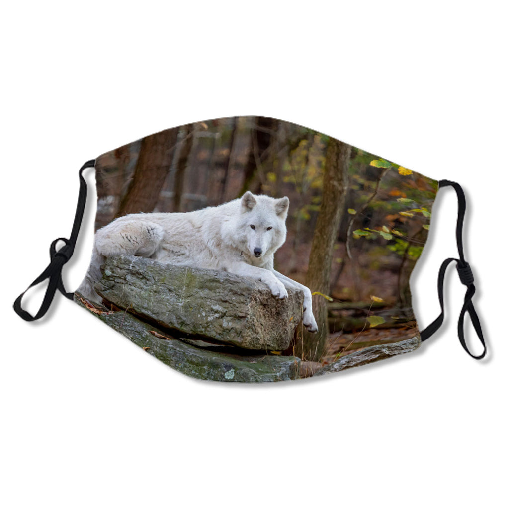 Wolf In Fall No. E5L94G