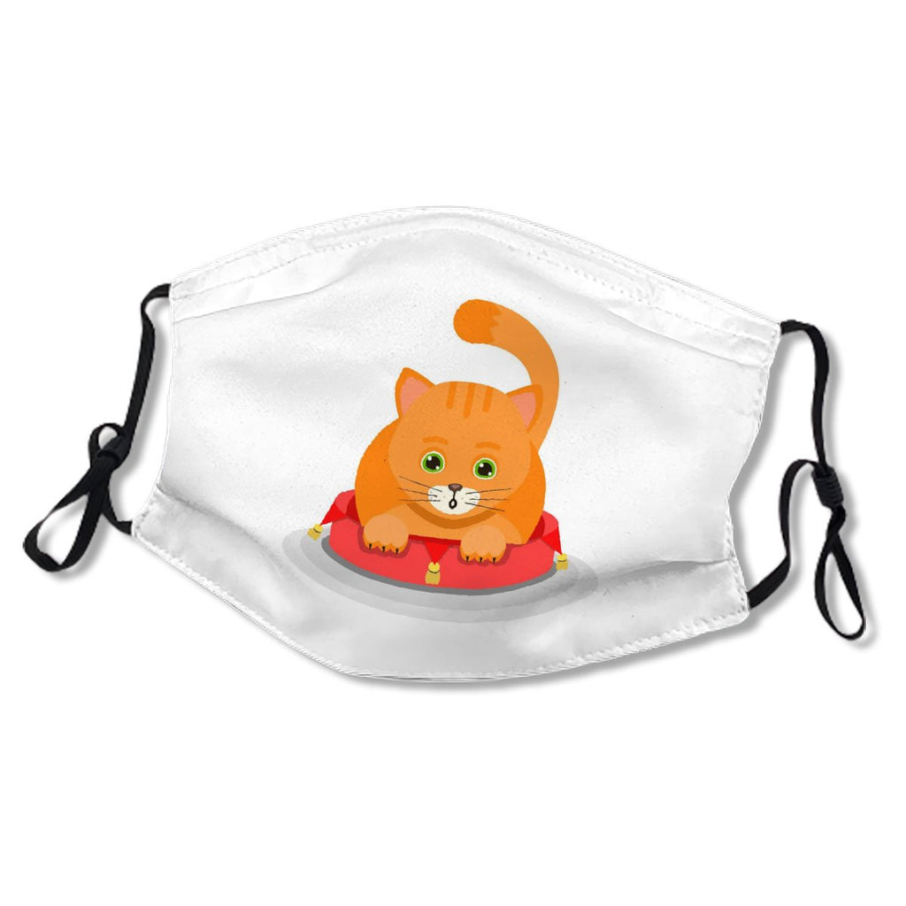 Ginger Cat Lying On A Soft Red Pouffe Isolated No.FLGZJM