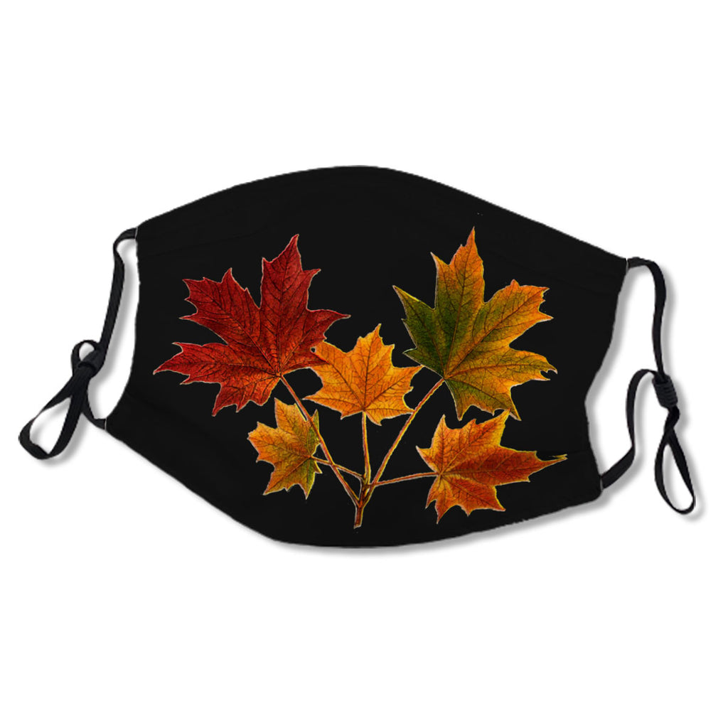 Sugar Maple Tree Colorful Leaves  No. GT2BVP