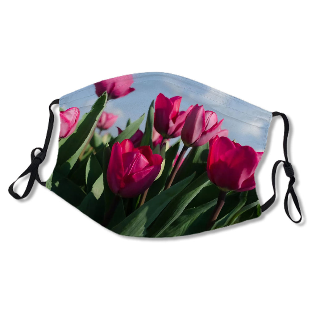 Pink Tulips No.GW5CA4