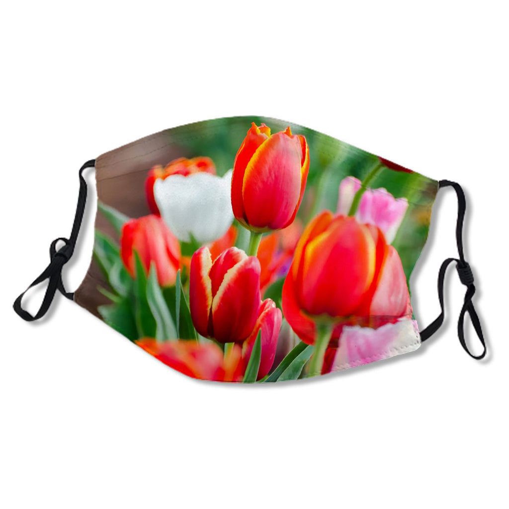 Beautiful tulips No.HEF5DZ