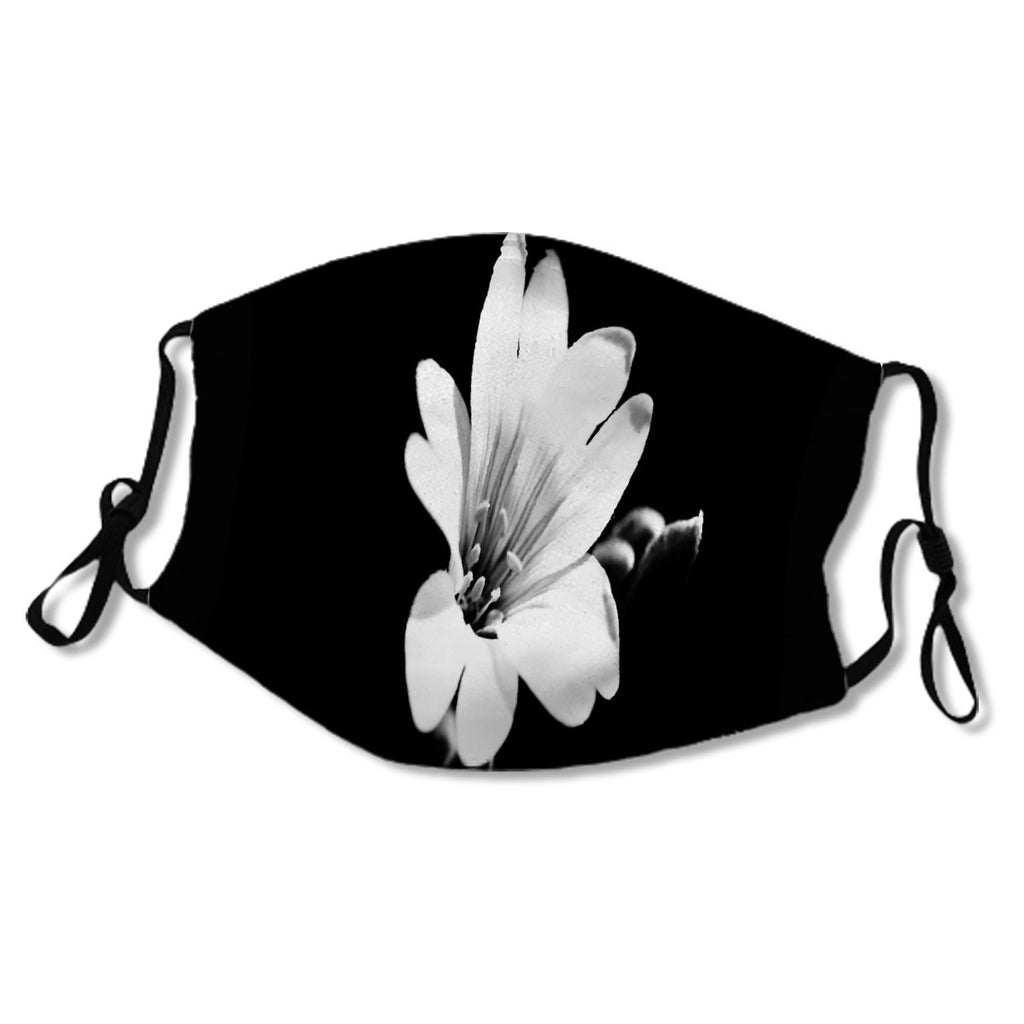 black and white plant No.OMPIMM
