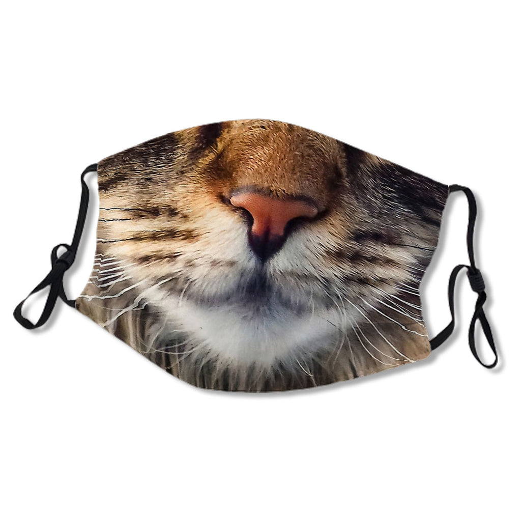 Maincoon Cat Face Protective Mask Mask No.PKCAIU