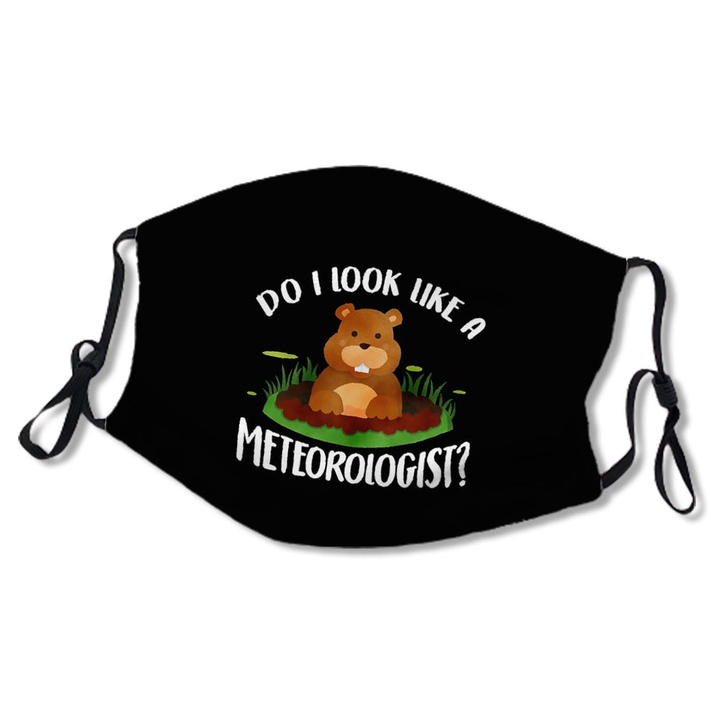 groundhog day funny - do I look like a meteorologist groundhog 2021 gift groundhog lover No.QMJ2XS