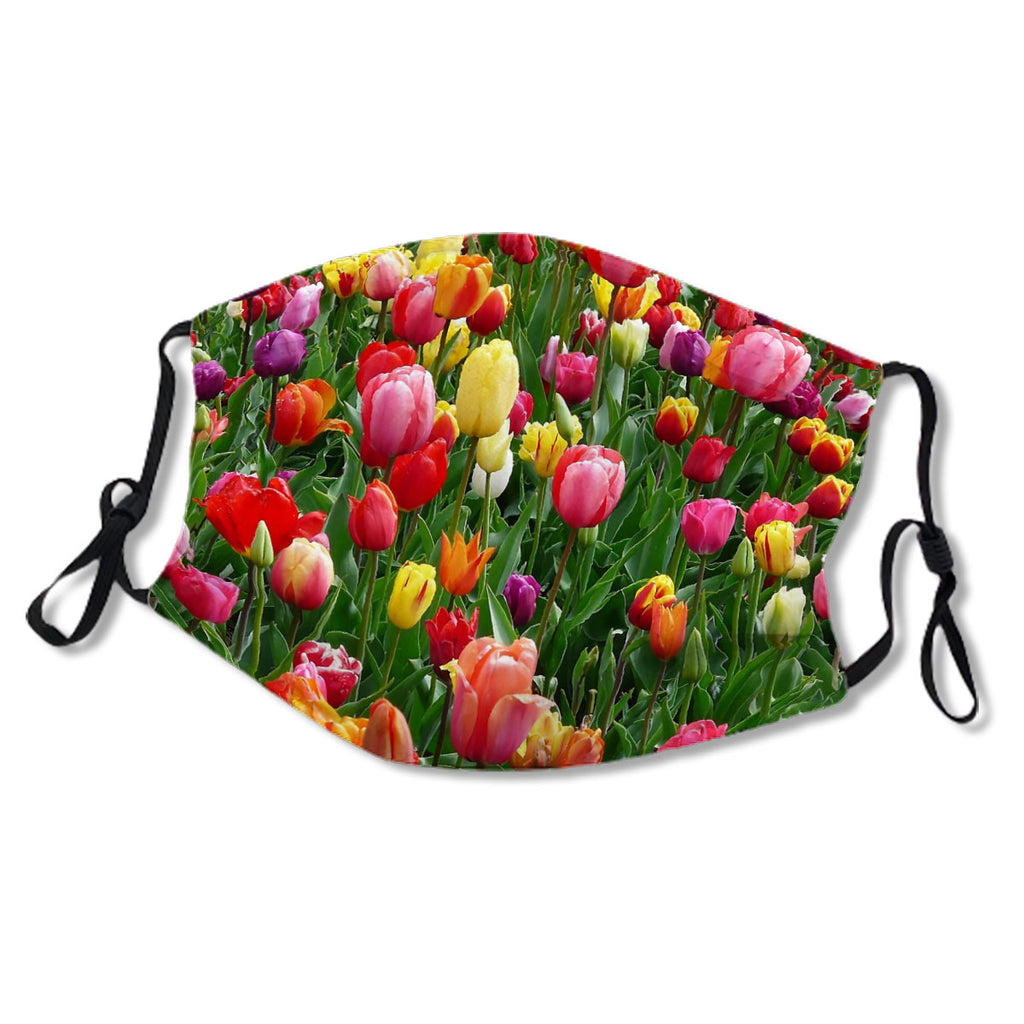 Bed of Tulips Flowers Spring Colorful Photo No.RM4QEP