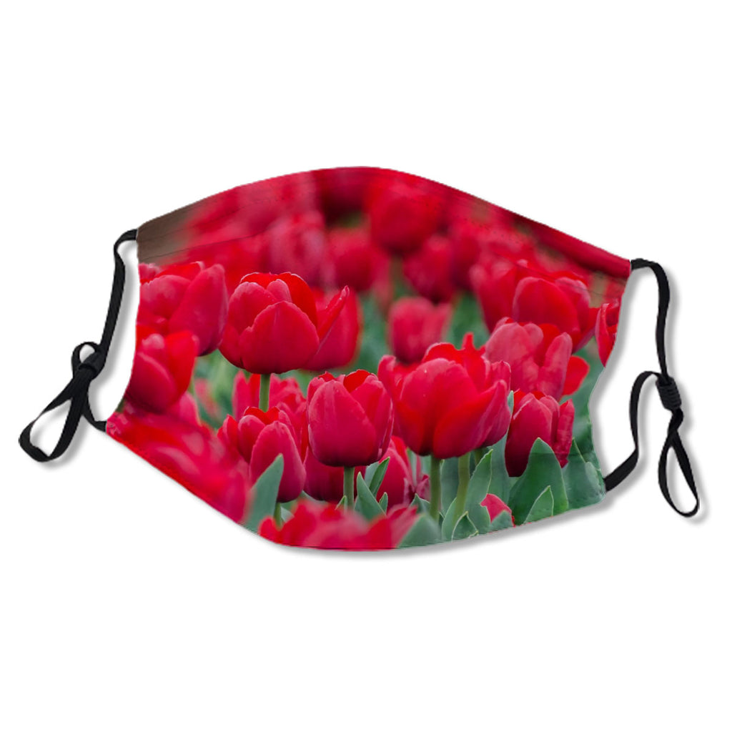 Beautiful red tulips No.SN7CQI