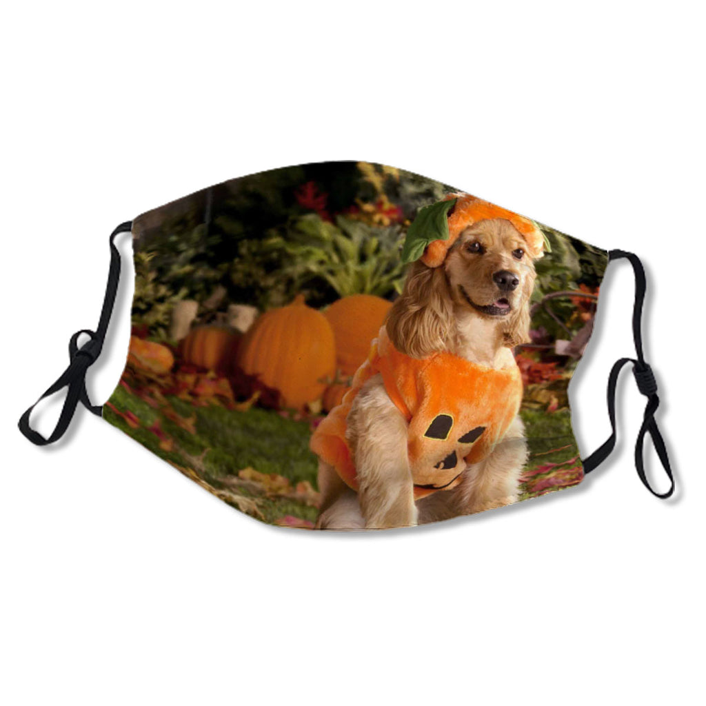 Happy Halloween (117) No.TTNRJB