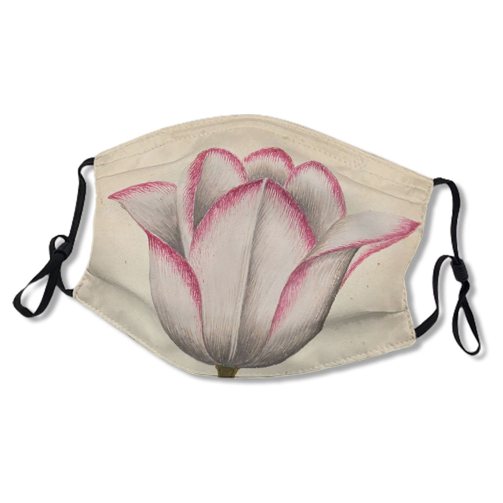 White Tulip Pink No.U8HKCK