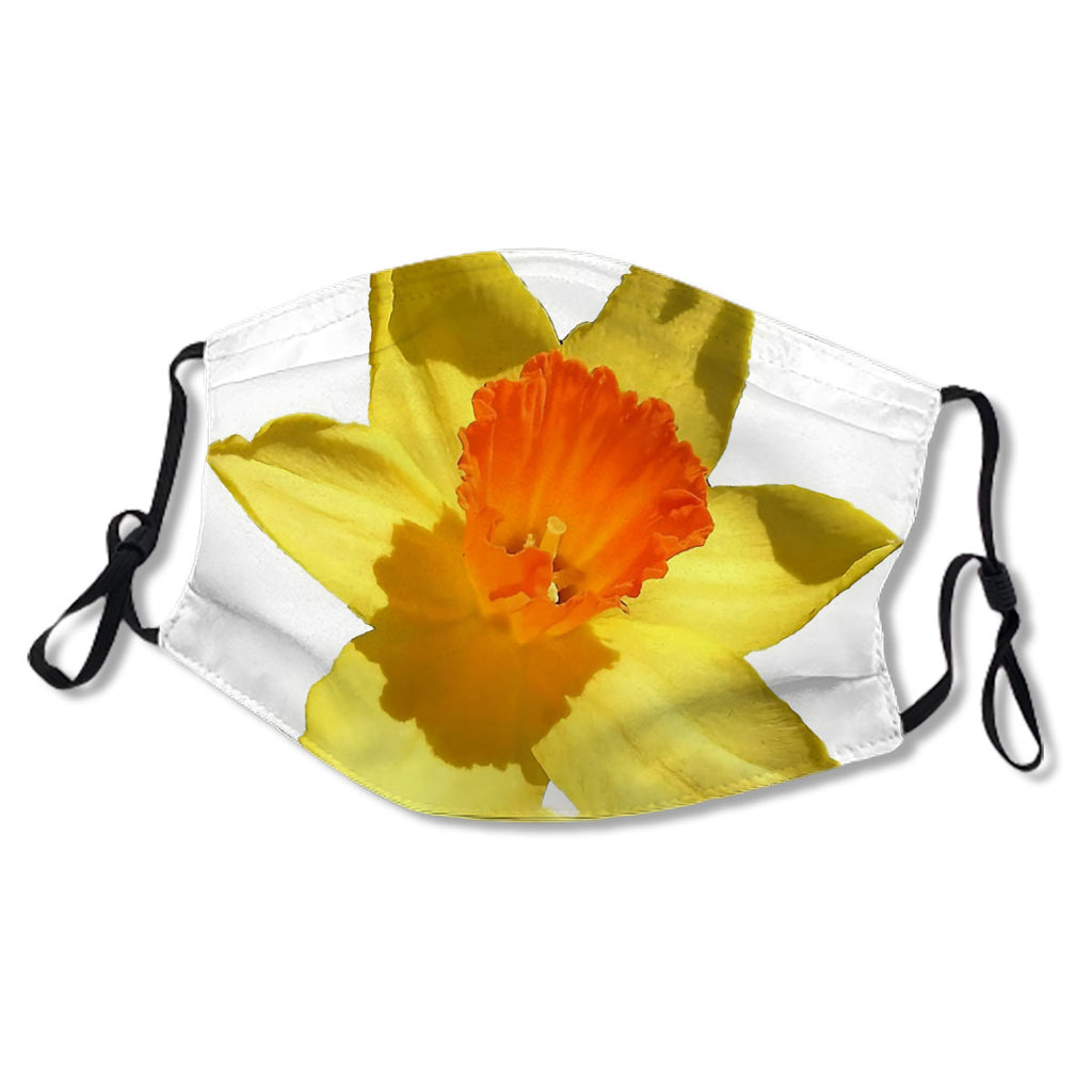 Daffodil Emblem Isolated On White No.VGNBWP