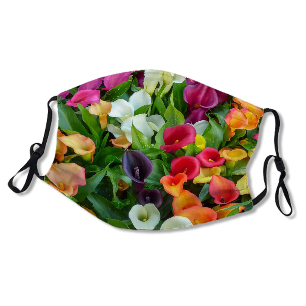 Colorful Calla Lilies of Holland No.X8ATNC