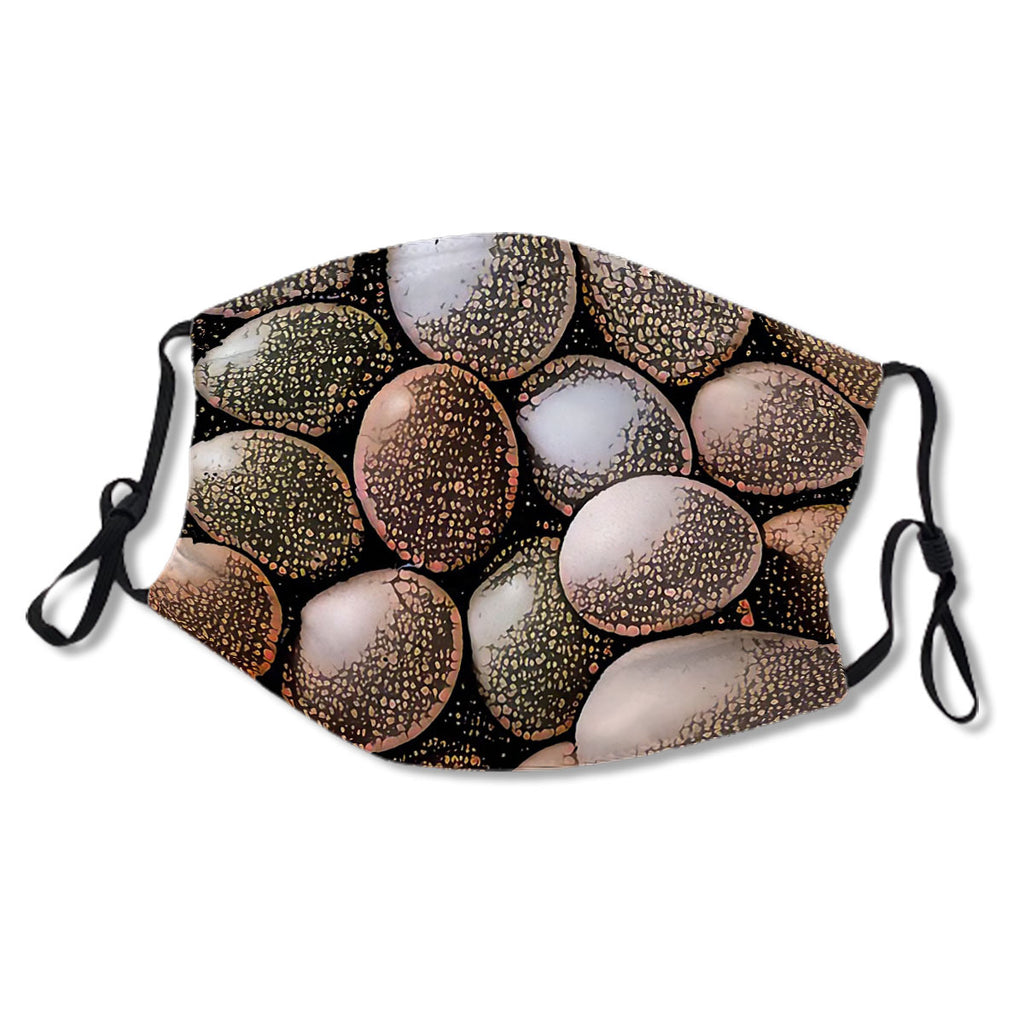 Easter eggs No.XF9ZMG