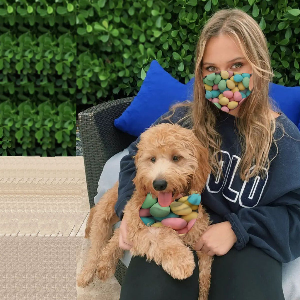 Mask + Dog scarf, print, adjustable, washable NO.Z4SRLO